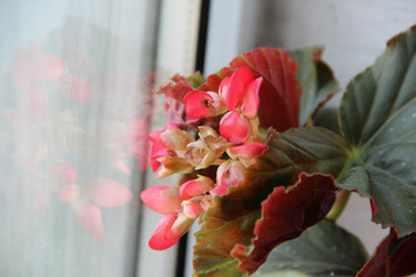 Similar image 1689952