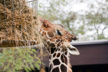 Similar image 1691269