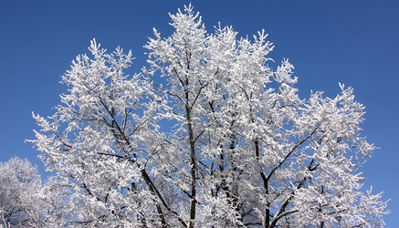 Similar image 1691463