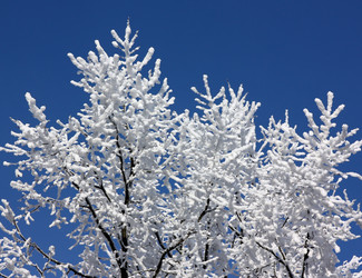 Similar image 1691465