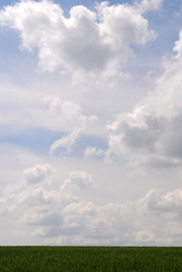 Similar image 1691686