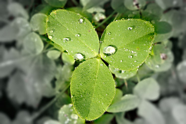 Similar image 1691726