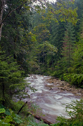 Similar image 1691731