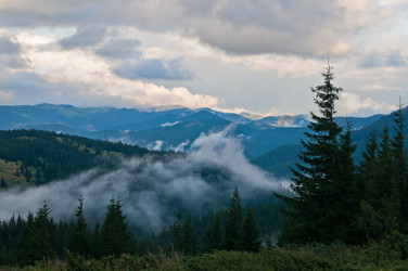 Similar image 1691735