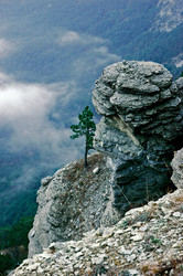 Similar image 1691737