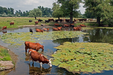 Similar image 1691739