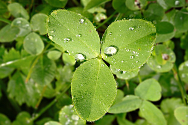 Similar image 1691754