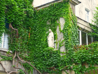 Similar image 1691909