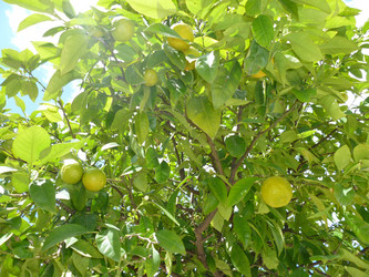 Similar image 1691916