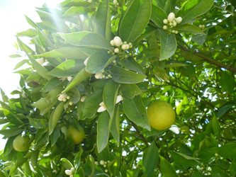 Similar image 1691917