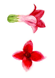 Similar image 1694629