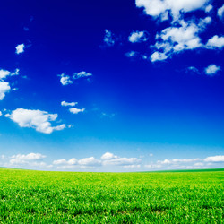 Similar image 1695675