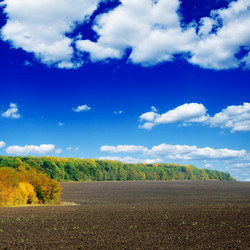 Similar image 1695676