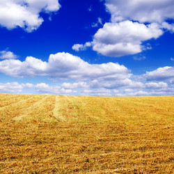 Similar image 1695681