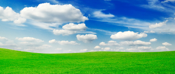 Similar image 1695683