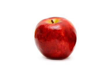 Similar image 1695715