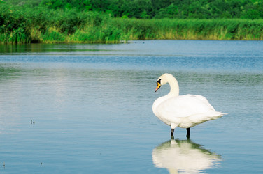 Similar image 1695722