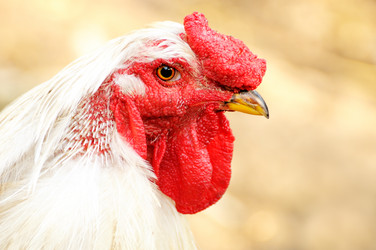 Similar image 1695783