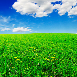 Similar image 1695784