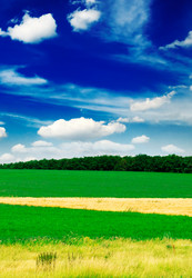 Similar image 1695791