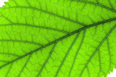 Similar image 1695795