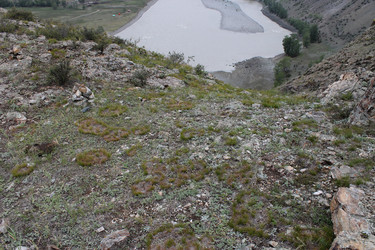 Similar image 1695830