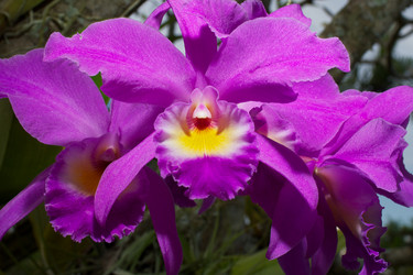 Similar image 1696271