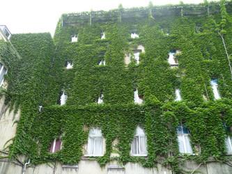 Similar image 1696733