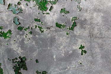 Similar image 1696788