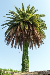 Similar image 1697463