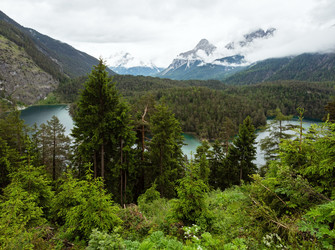 Similar image 1697477