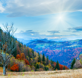 Similar image 1697487