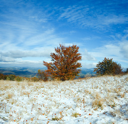 Similar image 1697503