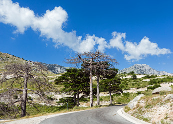 Similar image 1697515