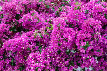 Similar image 1697525