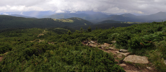 Similar image 1697574