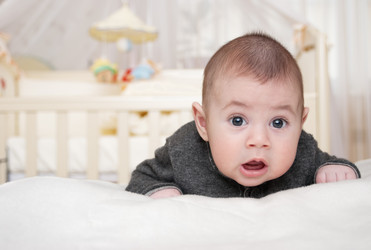 Similar image 1697576