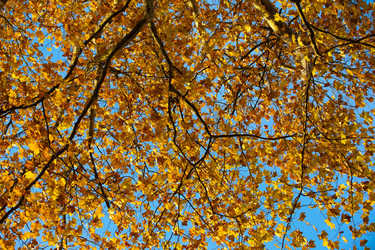 Similar image 1697599