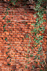 Similar image 1697602