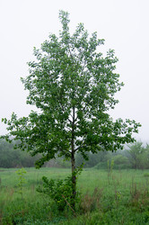 Similar image 1697623