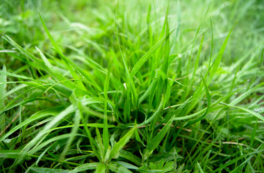 Similar image 1697624