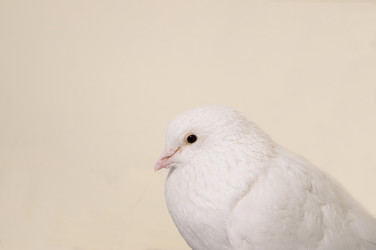 Similar image 1697626