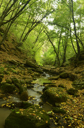 Similar image 1697650