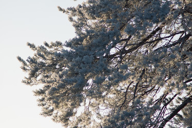 Similar image 1698151