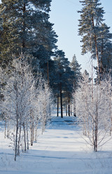 Similar image 1698154