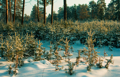 Similar image 1698155