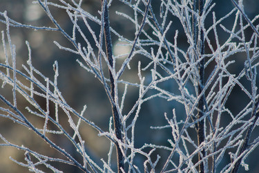 Similar image 1698156