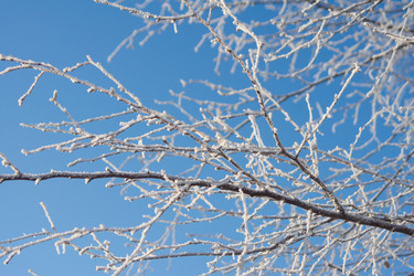 Similar image 1698158