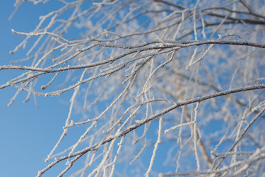 Similar image 1698159