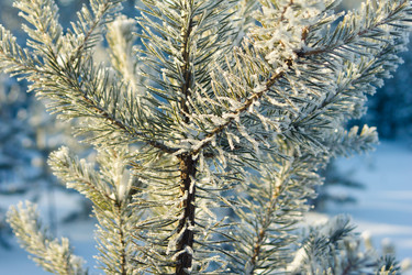 Similar image 1698160